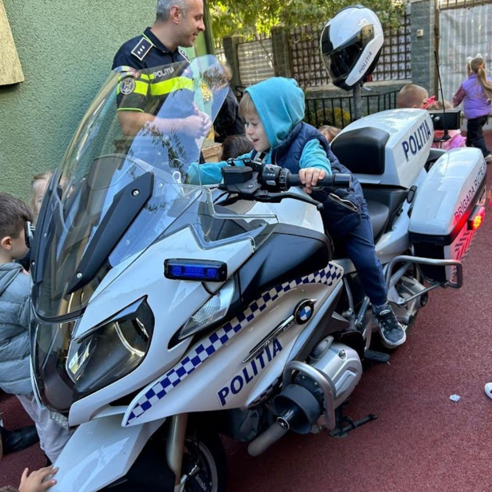 Activitate politie