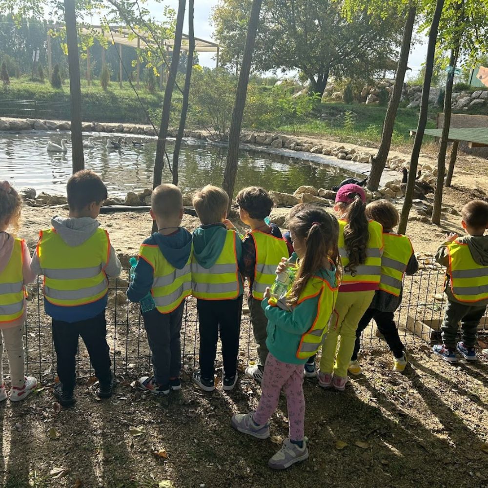 Excursie 2