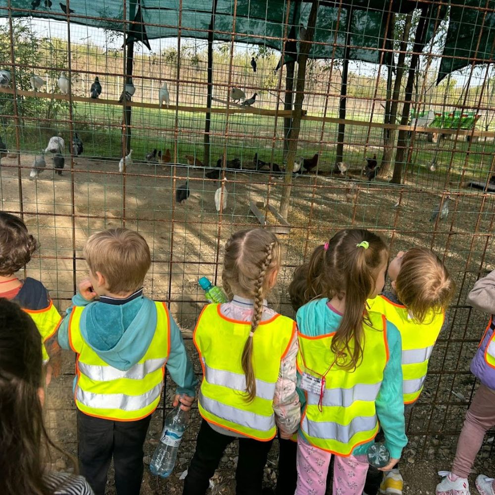 Excursie